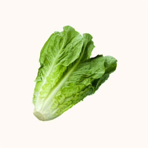 Romaine Lettuce